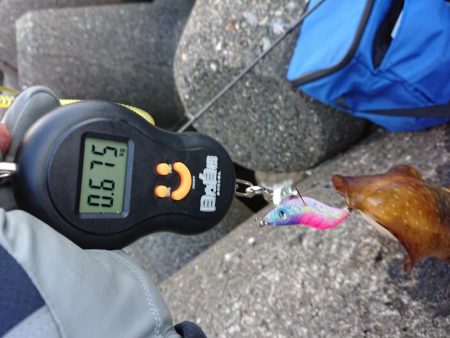 ようやく複数釣果